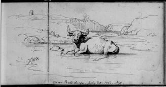 Sketchbook [p. 49]