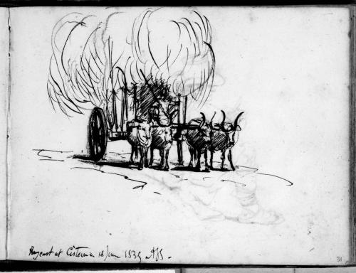 Sketchbook [p. 31]