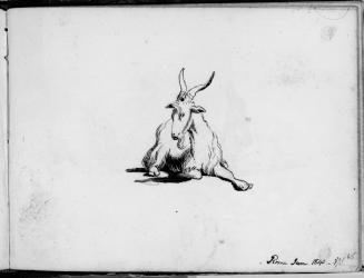 Sketchbook [p. 65]