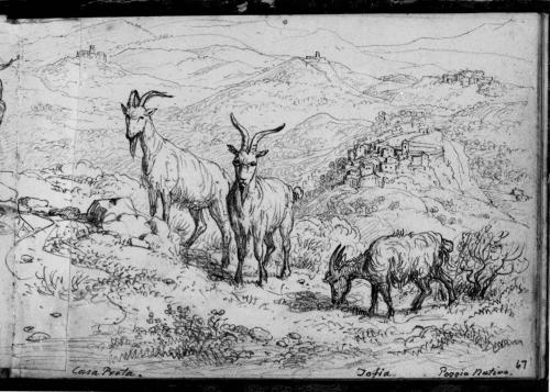 Sketchbook [p. 67]