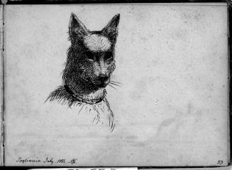 Sketchbook [p. 53]