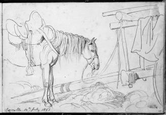 Sketchbook [p. 37]